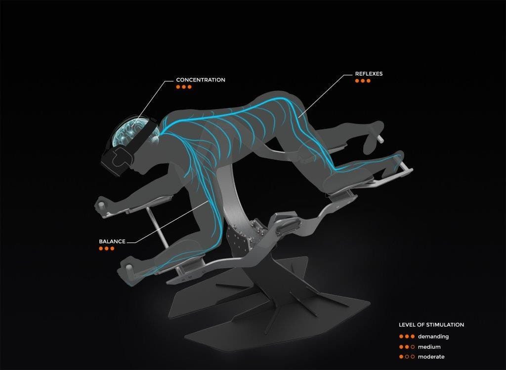Grafik: Nervensystem und Konzentration beim Fliegen auf dem Icaros